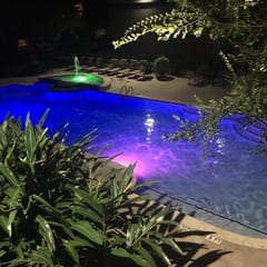 Pool View 2 Bedroom/2 Bath Condo in Houston's Medical Center