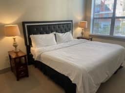Beautiful 2 Bedroom / 2 Bath Apartment in Houston - Image 2