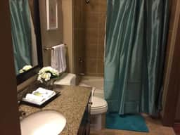 Beautiful Large 2 Bedroom / 2 Bath Condo in The Woodlands - Image 4