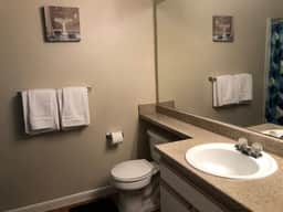 Central Furnished 2b/2b Apt by the HTX Med Center - Image 3
