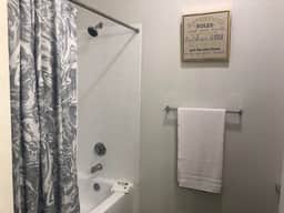 Lavish Apartment near Houston Medical Center - Image 4
