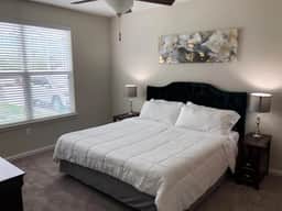 Luxurious Apartment Living in Tomball, TX - Image 2