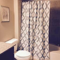 Resort Style 2 Bedroom/2 Bath Apt./Condo in The Woodlands - Image 5