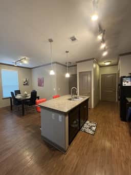 Spacious 2 bed/2bath in The Woodlands** - Image 3