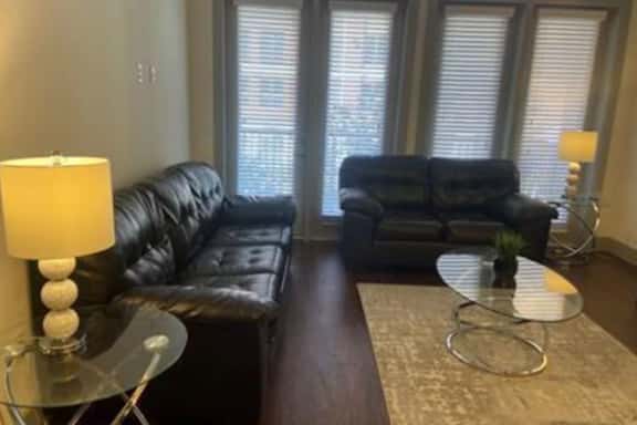 Beautiful 2 Bedroom / 2 Bath Apartment in Houston - Image 1