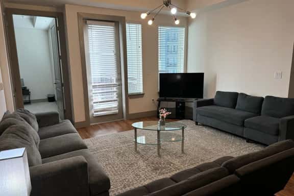 Furnished 3b/2.5b Apt near the Houston Galleria - Image 1