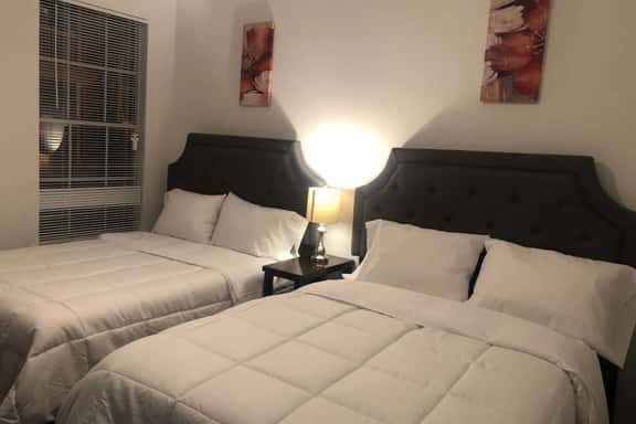Lavish Apartment near Houston Medical Center - Image 1