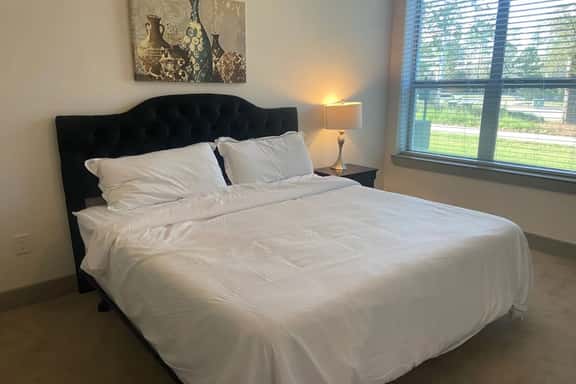Spacious 2 bed/ 2 bath Apartment in Spring, Tx - Image 1