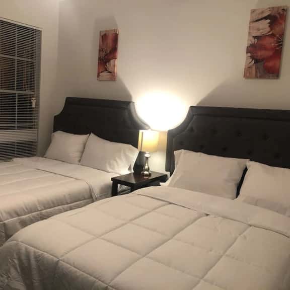 Lavish Apartment near Houston Medical Center - Image 1