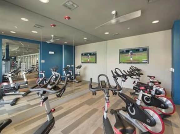 Beautiful 2 Bedroom / 2 Bath Apartment in Houston - Image 4