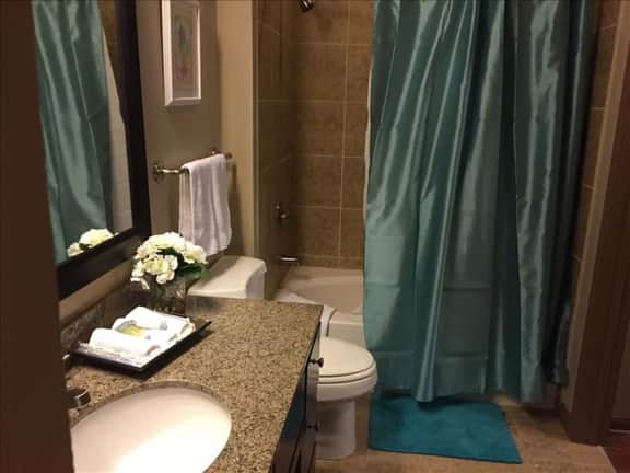 Beautiful Large 2 Bedroom / 2 Bath Condo in The Woodlands - Image 4