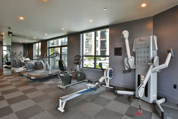 Modern 2 Bed, 2 Bath Near Texas Medical Center - Image 5