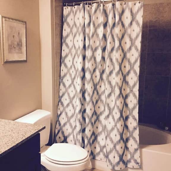 Resort Style 2 Bedroom/2 Bath Apt./Condo in The Woodlands - Image 5