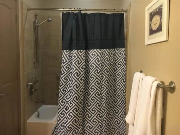 Spacious 1 Bedroom / 1 Bath condo in The Woodlands - Image 4