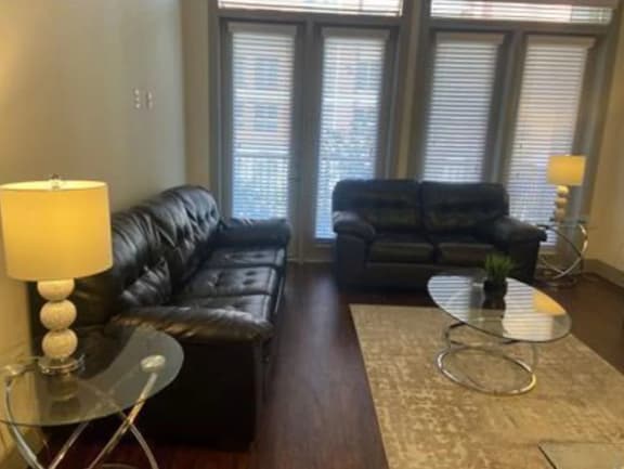 Beautiful 2 Bedroom / 2 Bath Apartment in Houston - Image 1
