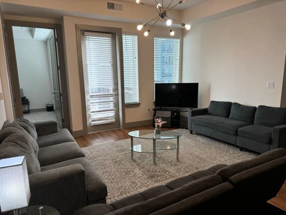 Furnished 3b/2.5b Apt near the Houston Galleria - Image 1