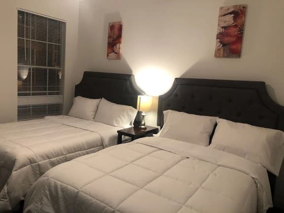 Lavish Apartment near Houston Medical Center - Image 1