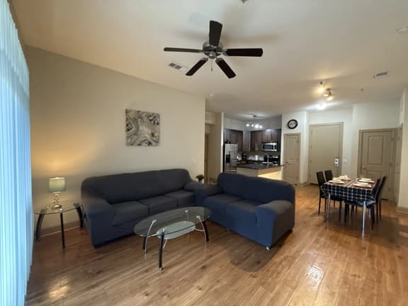 Luxurious Apartment near Texas Medical Center - Image 1