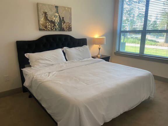 Spacious 2 bed/ 2 bath Apartment in Spring, Tx - Image 1